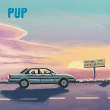 Who Will Look After The Dogs - Pup