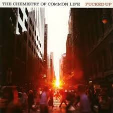 The Chemistry Of Common Life - Fucked Up