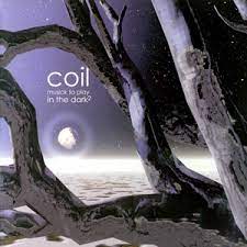 Music To Play In The Dark2 - Coil