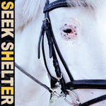 Seek Shelter - Iceage
