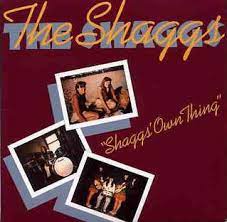 Shaggs Own Thing - The Shaggs